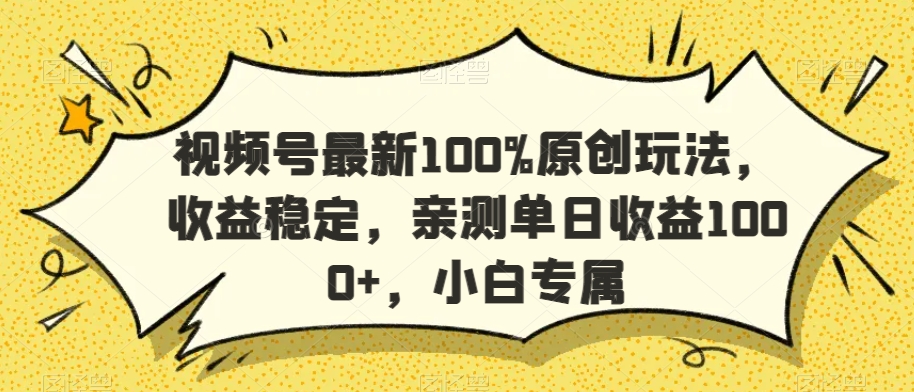 视频号最新100%原创玩法，收益稳定，亲测单日收益1000+，小白专属【揭秘】 - 163资源网-163资源网