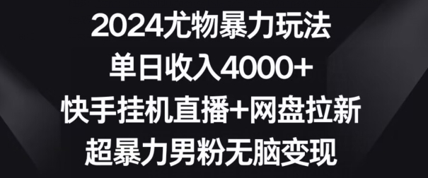 2024尤物暴力玩法，单日收入4000+，快手挂机直播+网盘拉新，超暴力男粉无脑变现【揭秘】 - 163资源网-163资源网