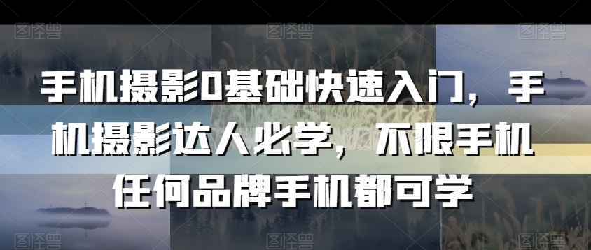 手机摄影0基础快速入门，手机摄影达人必学，不限手机任何品牌手机都可学 - 163资源网-163资源网