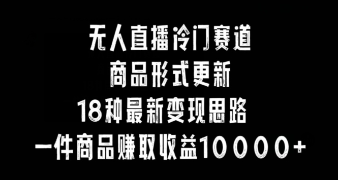 无人直播冷门赛道，商品形式更新，18种变现思路，一件商品赚取收益10000+【揭秘】 - 163资源网-163资源网