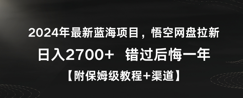 2024年最新蓝海项目，悟空网盘拉新，日入2700+错过后悔一年【附保姆级教程+渠道】【揭秘】 - 163资源网-163资源网