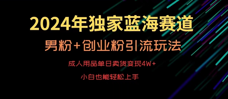 2024年独家蓝海赛道，成人用品单日卖货变现4W+，男粉+创业粉引流玩法，不愁搞不到流量【揭秘】 - 163资源网-163资源网