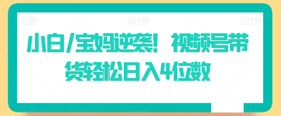 小白/宝妈逆袭！视频号带货轻松日入4位数【揭秘】 - 163资源网-163资源网