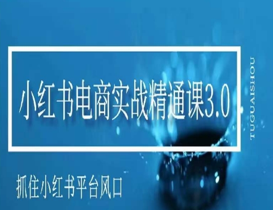 小红书电商实战精通课3.0，抓住小红书平台的风口，不错过有一个赚钱的机会 - 163资源网-163资源网