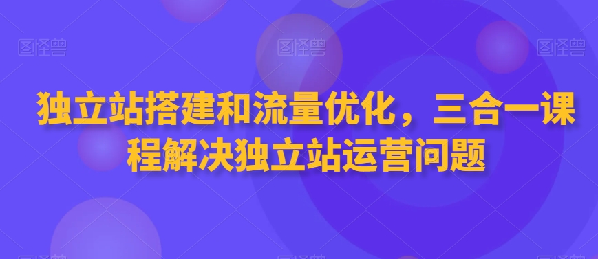 独立站搭建和流量优化，三合一课程解决独立站运营问题 - 163资源网-163资源网