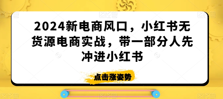 2024新电商风口，小红书无货源电商实战，带一部分人先冲进小红书 - 163资源网-163资源网