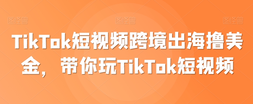 TikTok短视频跨境出海撸美金，带你玩TikTok短视频 - 163资源网-163资源网