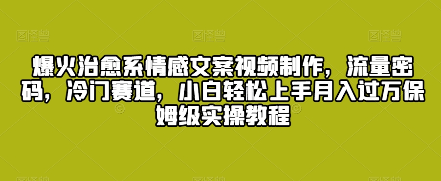 爆火治愈系情感文案视频制作，流量密码，冷门赛道，小白轻松上手月入过万保姆级实操教程【揭秘】 - 163资源网-163资源网