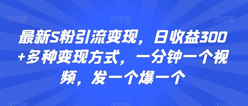 最新S粉引流变现，日收益300+多种变现方式，一分钟一个视频，发一个爆一个【揭秘】 - 163资源网-163资源网