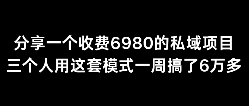 分享一个外面卖6980的私域项目三个人用这套模式一周搞了6万多【揭秘】 - 163资源网-163资源网