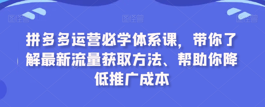 拼多多运营必学体系课，带你了解最新流量获取方法、帮助你降低推广成本 - 163资源网-163资源网