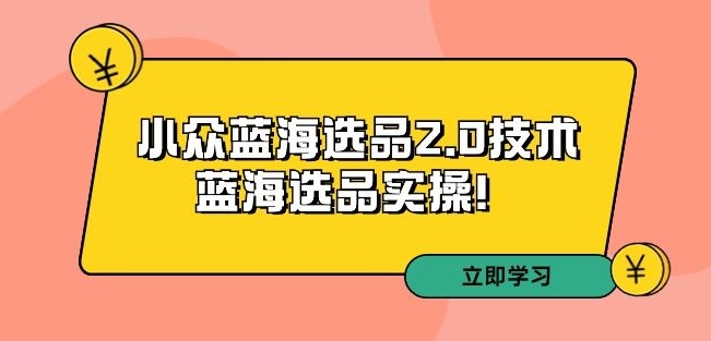 拼多多培训第33期：小众蓝海选品2.0技术-蓝海选品实操 - 163资源网-163资源网