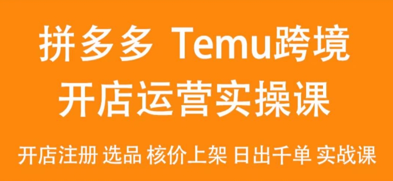 2024Temu最新玩法，Temu跨境开店运营实操课，开店注册/选品/核价上架/日出千单实战课 - 163资源网-163资源网