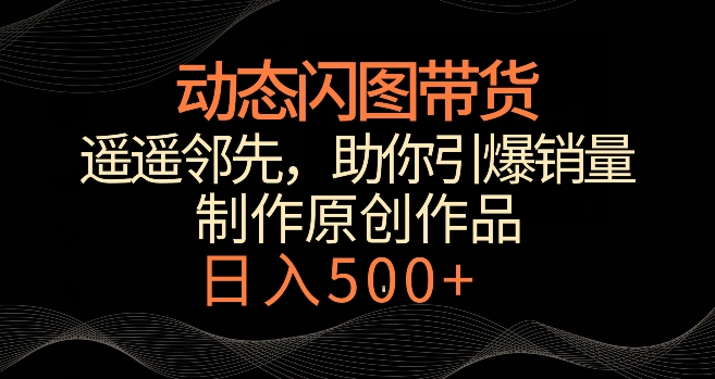 动态闪图带货，遥遥领先，冷门玩法，助你轻松引爆销量，日赚500+【揭秘】 - 163资源网-163资源网