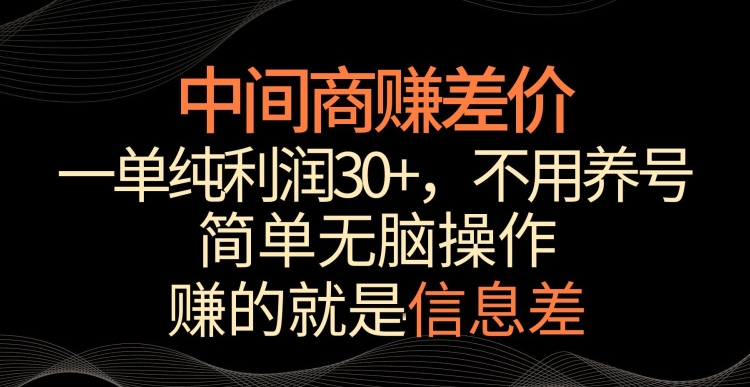 中间商赚差价，一单纯利润30+，简单无脑操作，赚的就是信息差，轻轻松松日入1000+【揭秘】 - 163资源网-163资源网