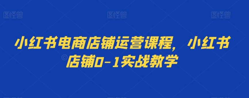 小红书电商店铺运营课程，小红书店铺0-1实战教学 - 163资源网-163资源网