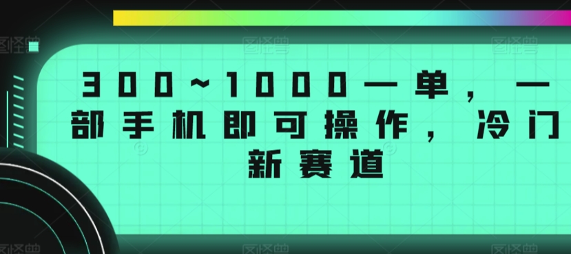 300~1000一单，一部手机即可操作，冷门新赛道 - 163资源网-163资源网