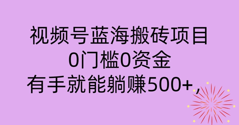 视频号蓝海搬砖项目，0门槛0资金，小白轻松上手，一天30分钟日入500+，堪比捡钱 - 163资源网-163资源网