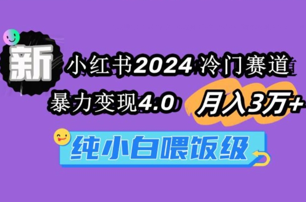 小红书2024冷门赛道一个月3万+暴力变现4.0纯小白喂饭级 - 163资源网-163资源网