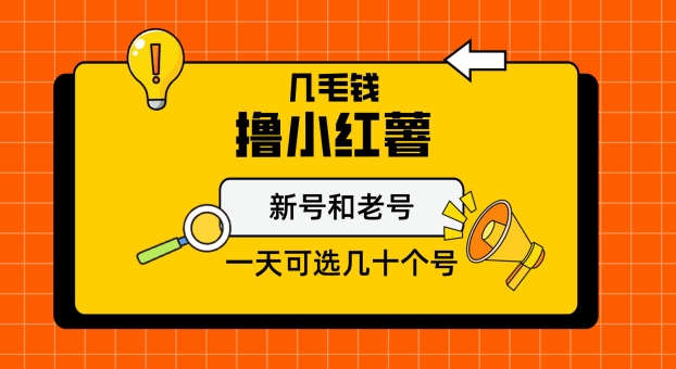 几毛钱撸小红书纯新号和老号，保姆级教程 - 163资源网-163资源网