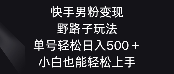 快手男粉变现野路子玩法，轻松日入500＋小白也能轻松上手 - 163资源网-163资源网