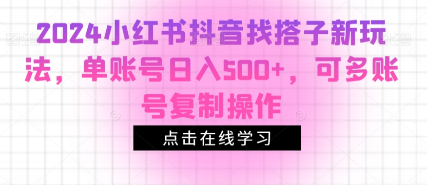 2024小红书抖音找搭子新玩法，单账号日入500+，可多账号复制操作 - 163资源网-163资源网