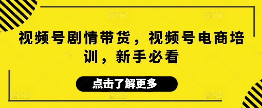 视频号剧情带货，视频号电商培训，新手必看 - 163资源网-163资源网