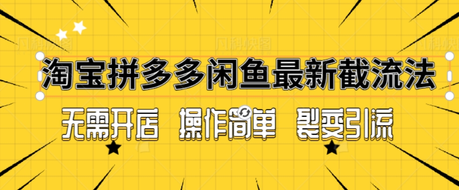 拼多多淘宝闲鱼最新引流方法，无需开店长久精准引流100+ - 163资源网-163资源网