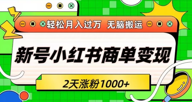 新号小红书商单变现接单到手软轻松月入过万2天涨粉1000+无脑搬运长期稳定 - 163资源网-163资源网