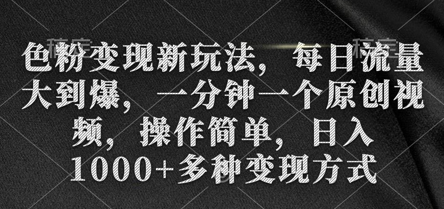 色粉变现新玩法，每日流量大到爆，一分钟一个原创视频，操作简单，日入1000+多种变现方式 - 163资源网-163资源网