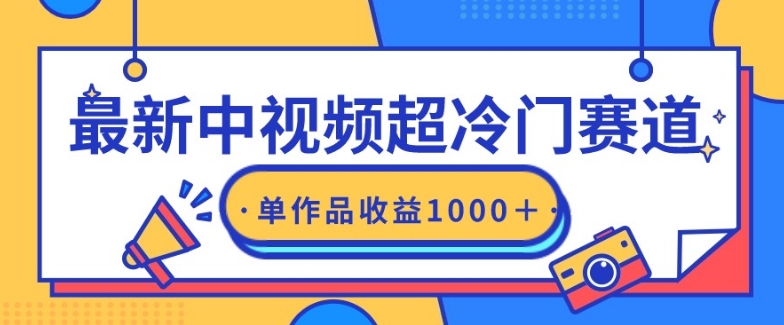 最新中视频超冷门赛道，轻松过原创，单条视频收益1000＋ - 163资源网-163资源网