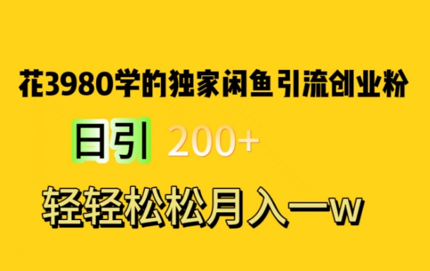 花费3980学的独家闲鱼引流创业粉，日引200+轻轻松松月入一万简单粗暴 - 163资源网-163资源网