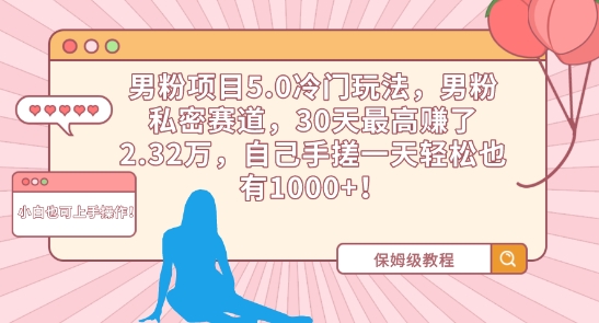 男粉项目5.0冷门玩法，男粉私密赛道，30天最高赚了2.32万，自己手搓一天轻松也有1000+【揭秘】 - 163资源网-163资源网