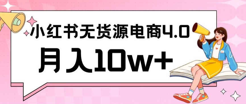 小红书新电商实战，无货源实操从0到1月入10w+联合抖音放大收益【揭秘】 - 163资源网-163资源网