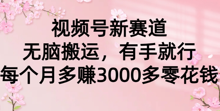 视频号新赛道，无脑搬运，有手就行，每个月多赚3000多零花钱 - 163资源网-163资源网