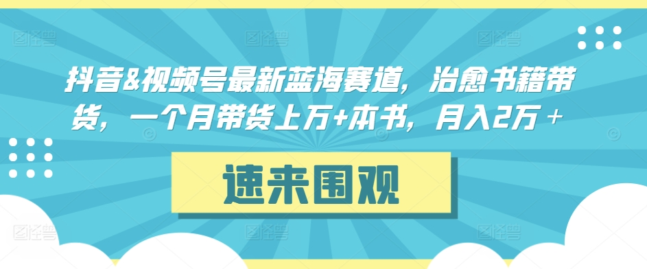 抖音&视频号最新蓝海赛道，治愈书籍带货，一个月带货上万+本书，月入2万＋【揭秘】 - 163资源网-163资源网