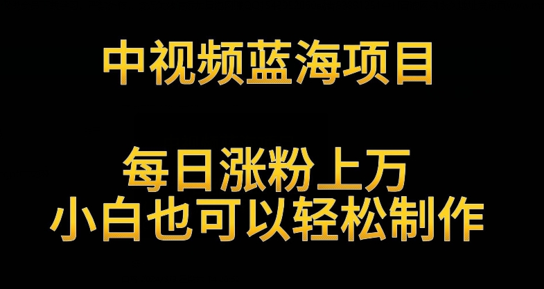 中视频蓝海项目，解读英雄人物生平，每日涨粉上万，小白也可以轻松制作，月入过万不是梦【揭秘】 - 163资源网-163资源网