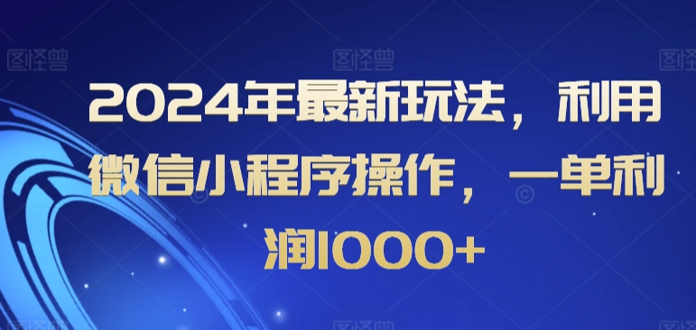 2024年最新玩法，利用微信小程序操作，一单利润1000+ - 163资源网-163资源网