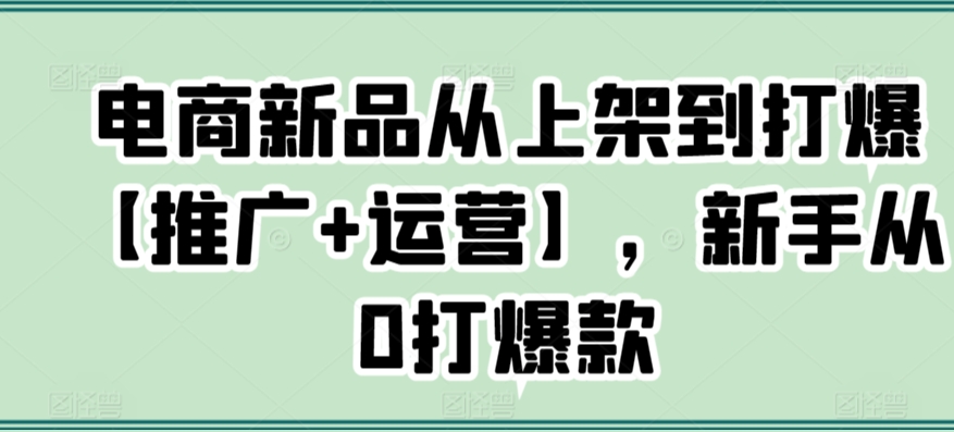 电商新品从上架到打爆【推广+运营】，新手从0打爆款 - 163资源网-163资源网