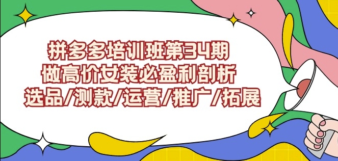 拼多多培训班第34期：做高价女装必盈利剖析选品测款运营推广拓展 - 163资源网-163资源网