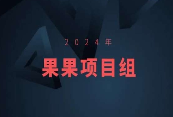 2024年果果项目组项目合集-果果最新项目 - 163资源网-163资源网