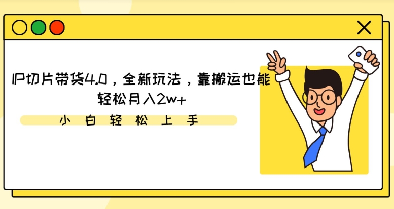 IP切片带货4.0，全新玩法，靠搬运也能轻松月入2w+ - 163资源网-163资源网