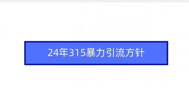 24年315暴力引流方针 - 163资源网-163资源网