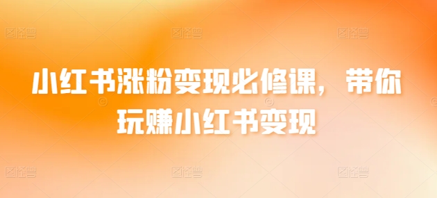 小红书涨粉变现必修课，带你玩赚小红书变现 - 163资源网-163资源网