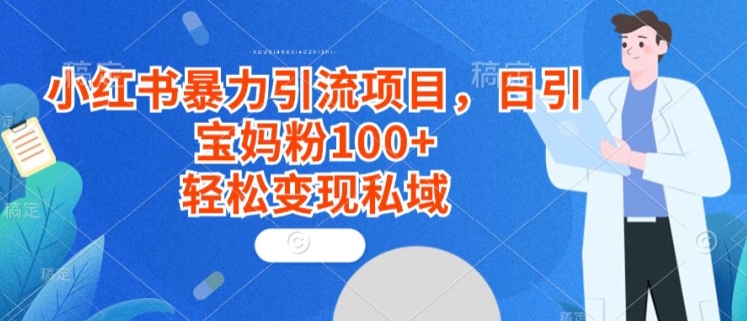 小红书暴力引流项目，日引宝妈粉100+，轻松变现私域 - 163资源网-163资源网