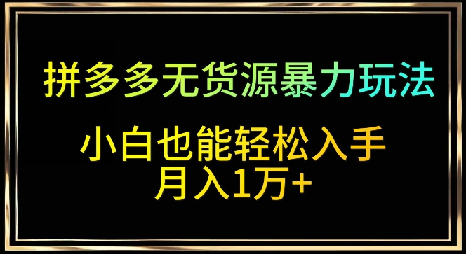 拼多多无货源暴力玩法，全程干货，小白也能轻松入手，月入1万+【揭秘】 - 163资源网-163资源网