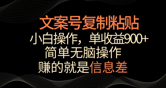 文案号掘金，简单复制粘贴，小白操作，单作品收益900+【揭秘】 - 163资源网-163资源网