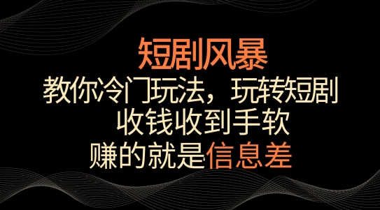 短剧风暴，教你冷门玩法，玩转短剧，收钱收到手软【揭秘】 - 163资源网-163资源网