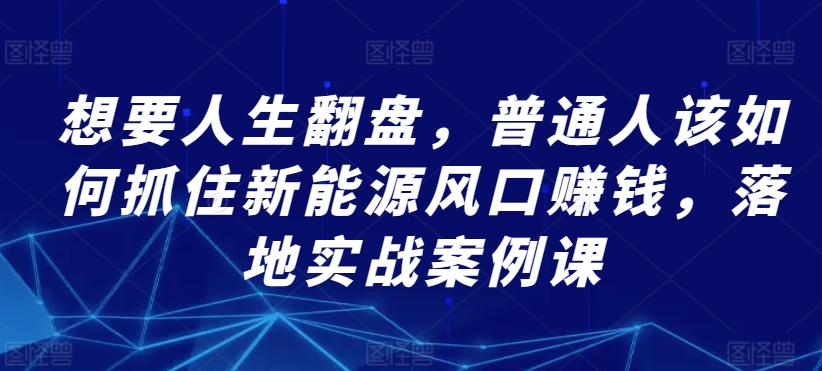 想要人生翻盘，普通人该如何抓住新能源风口赚钱，落地实战案例课 - 163资源网-163资源网