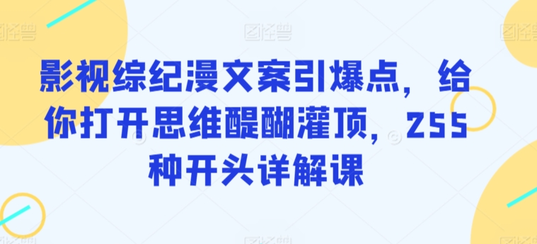 影视综纪漫文案引爆点，给你打开思维醍醐灌顶，255种开头详解课 - 163资源网-163资源网